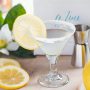 Подарочный набор для взрослых Lemon Drop Martinis